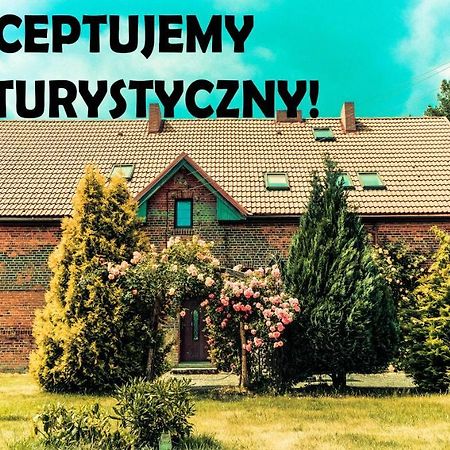 Chata Na Koncu Swiata Czaplin Maly Buitenkant foto