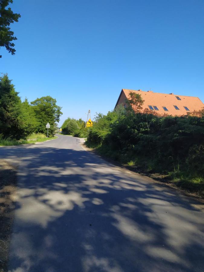 Chata Na Koncu Swiata Czaplin Maly Buitenkant foto