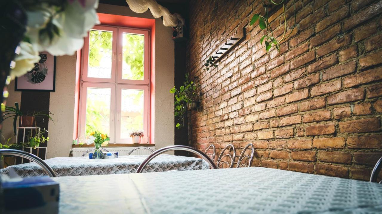 Chata Na Koncu Swiata Czaplin Maly Buitenkant foto