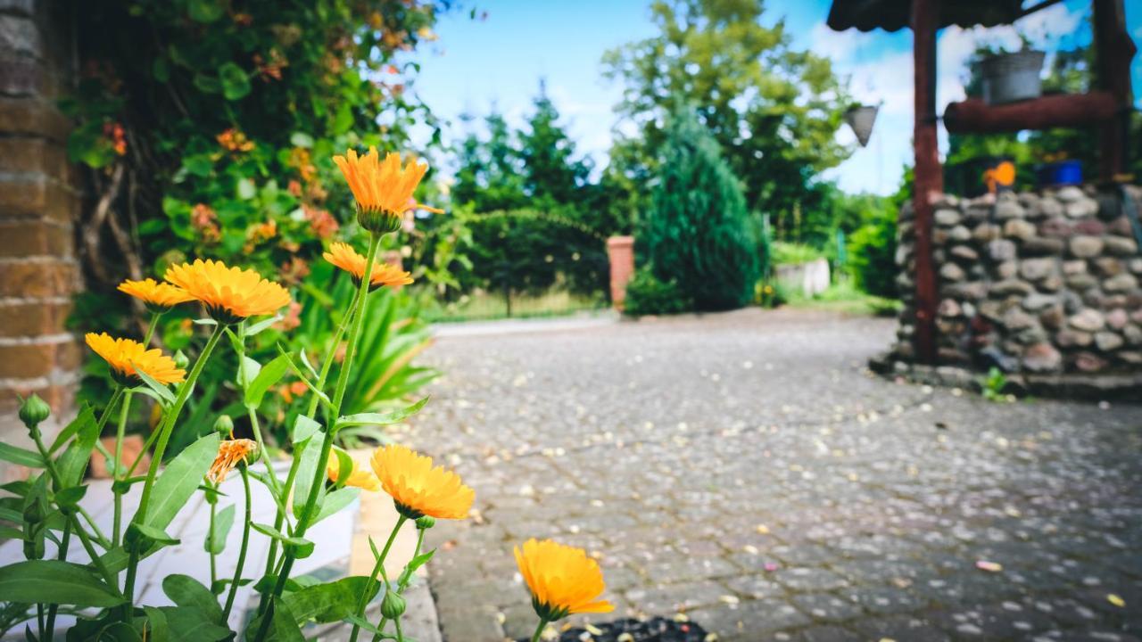 Chata Na Koncu Swiata Czaplin Maly Buitenkant foto