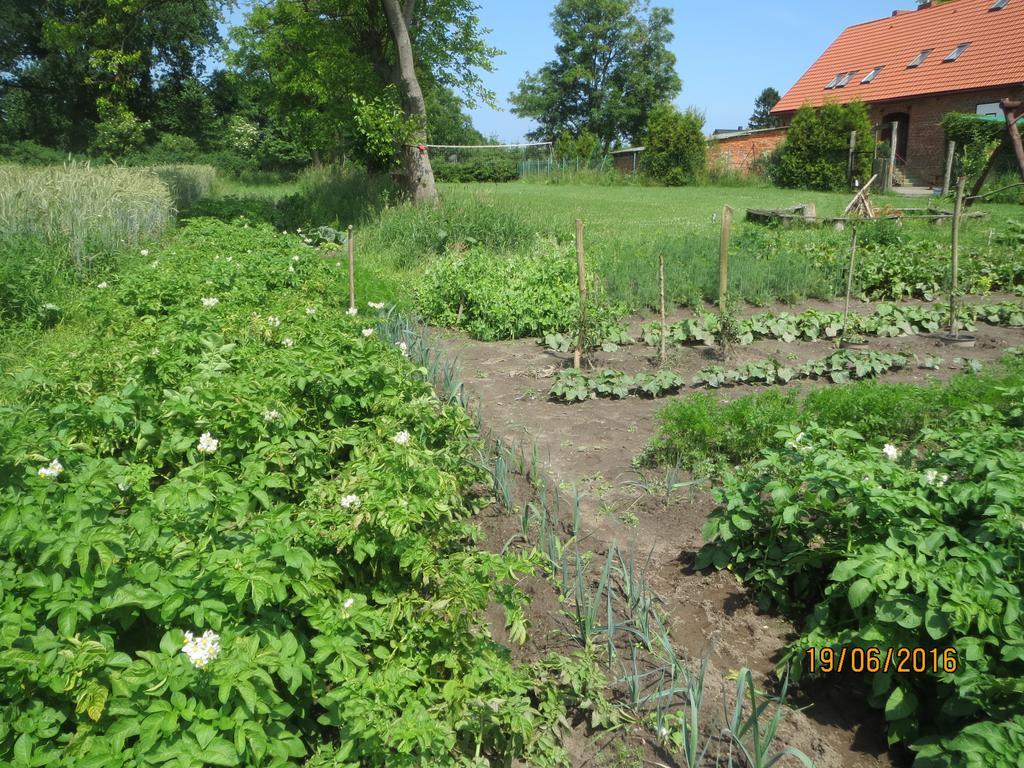 Chata Na Koncu Swiata Czaplin Maly Buitenkant foto
