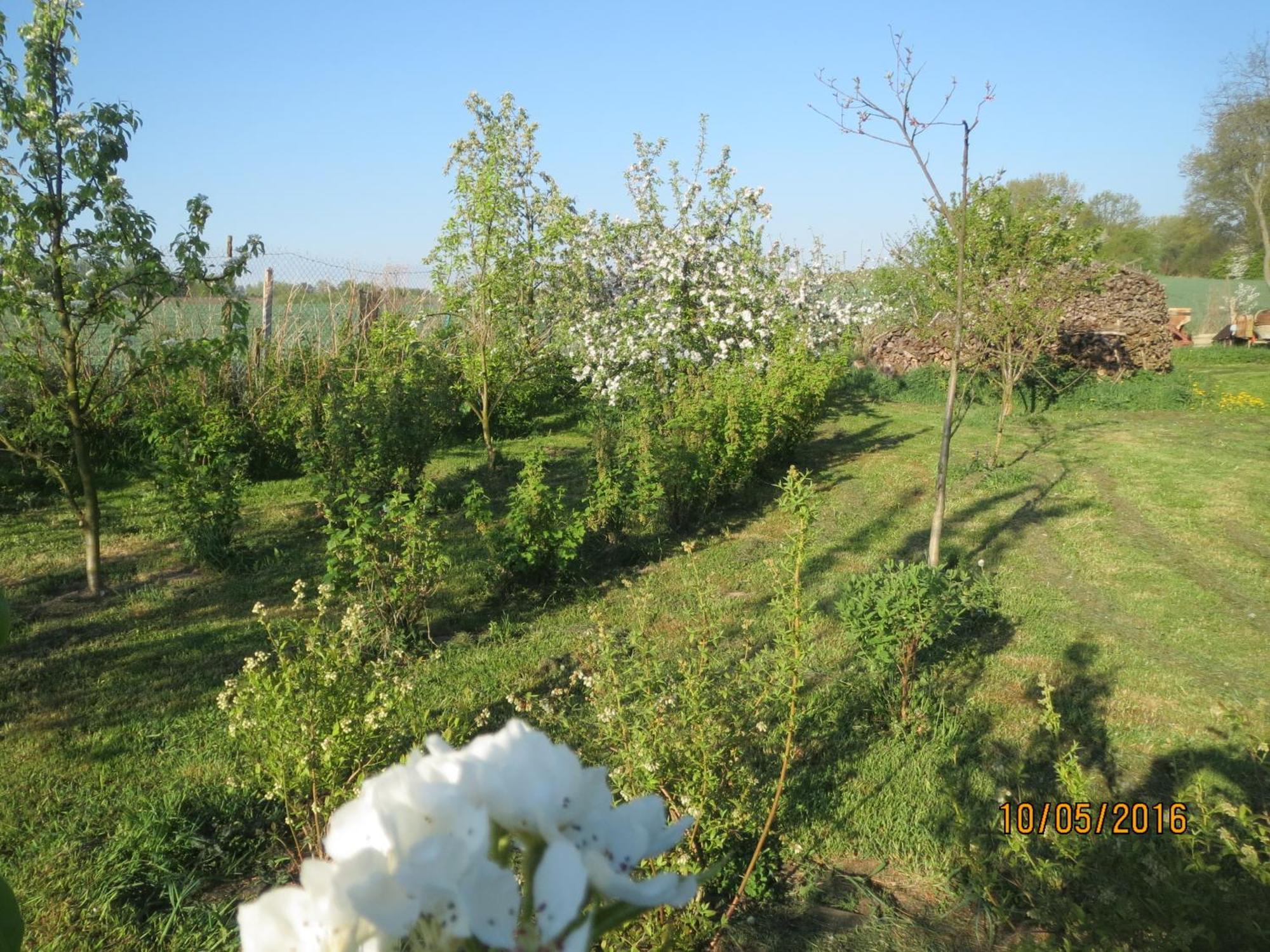 Chata Na Koncu Swiata Czaplin Maly Buitenkant foto